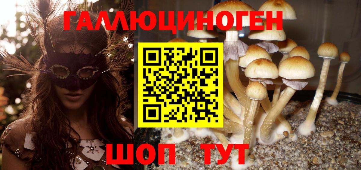 Прокопьевск  Галлюциногенные грибы ЛСД  Вход с VPN 
