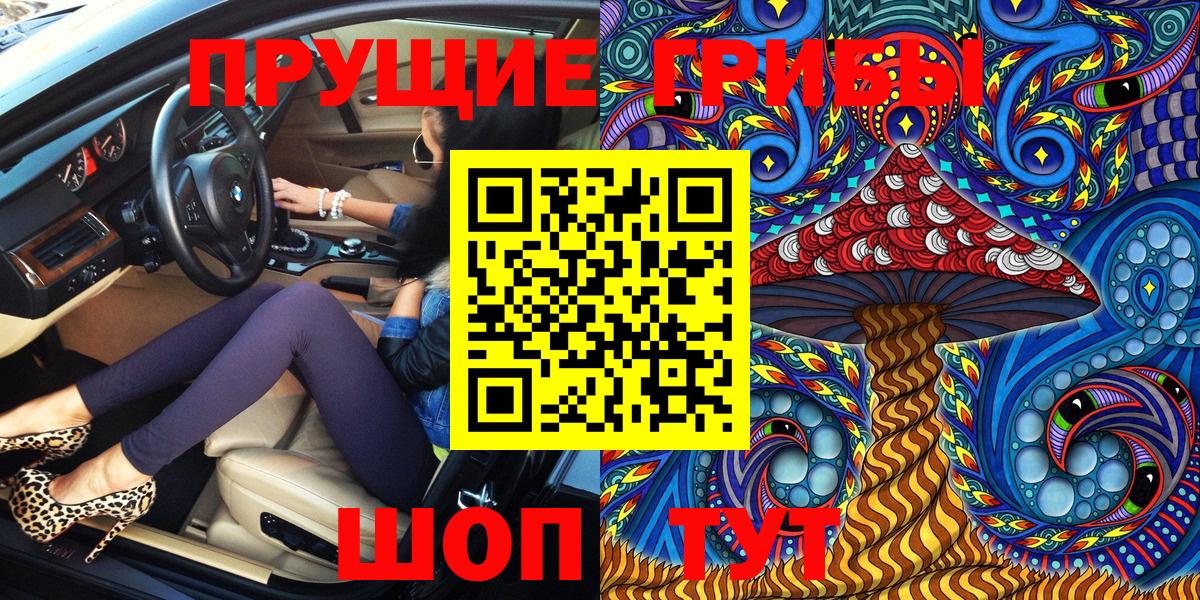 Псилоцибиновые грибы Cubensis Прокопьевск